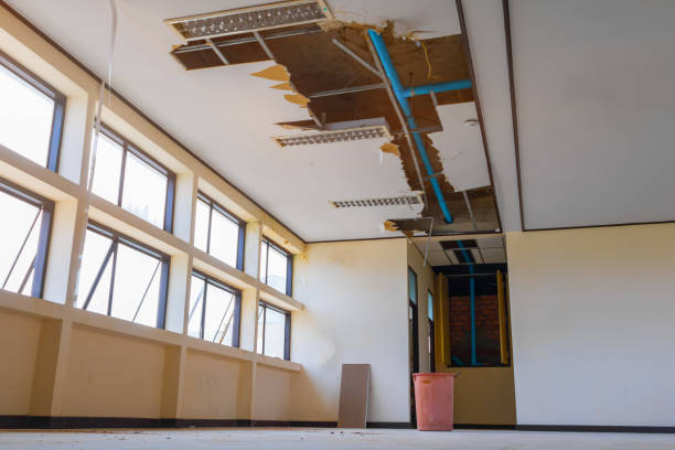 Best Basement water damage restoration  in King, NC
