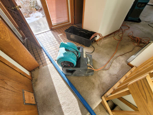 Best Water damage restoration services  in King, NC