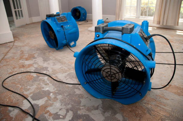 Best Flood restoration services  in King, NC