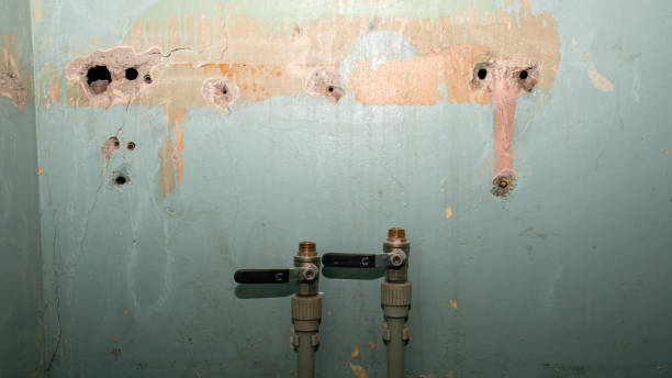 Best Water damage mitigation services  in King, NC