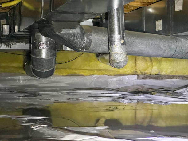 Best Mold removal after water damage  in King, NC