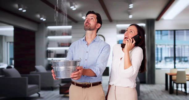 Best Fire Damage Restoration  in King, NC