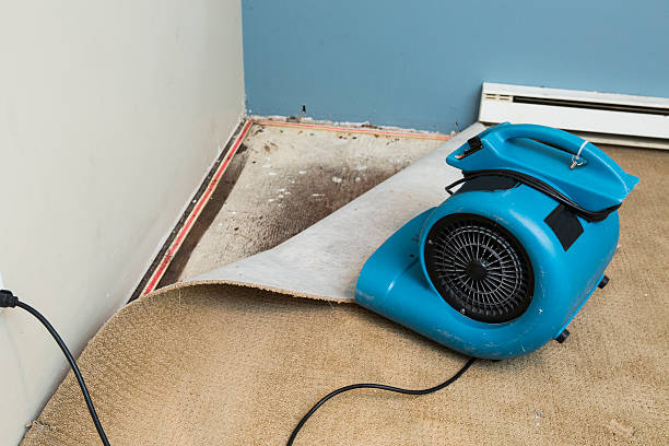 Best Water damage restoration cost  in King, NC